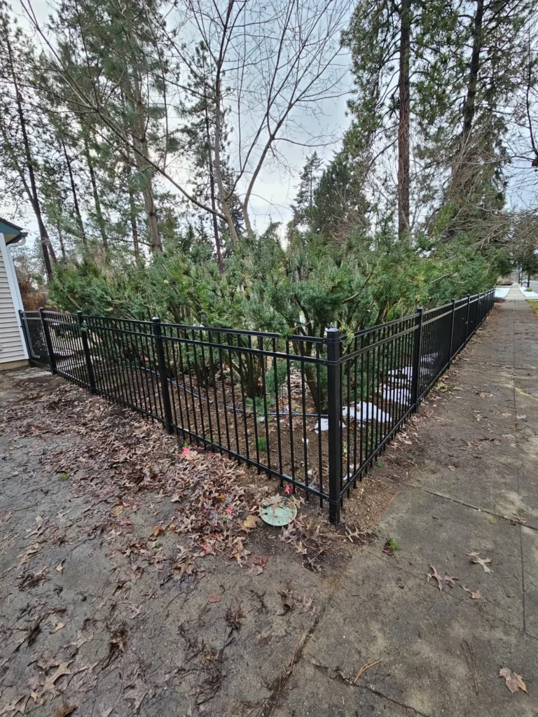 Ornamental iron garden boundary