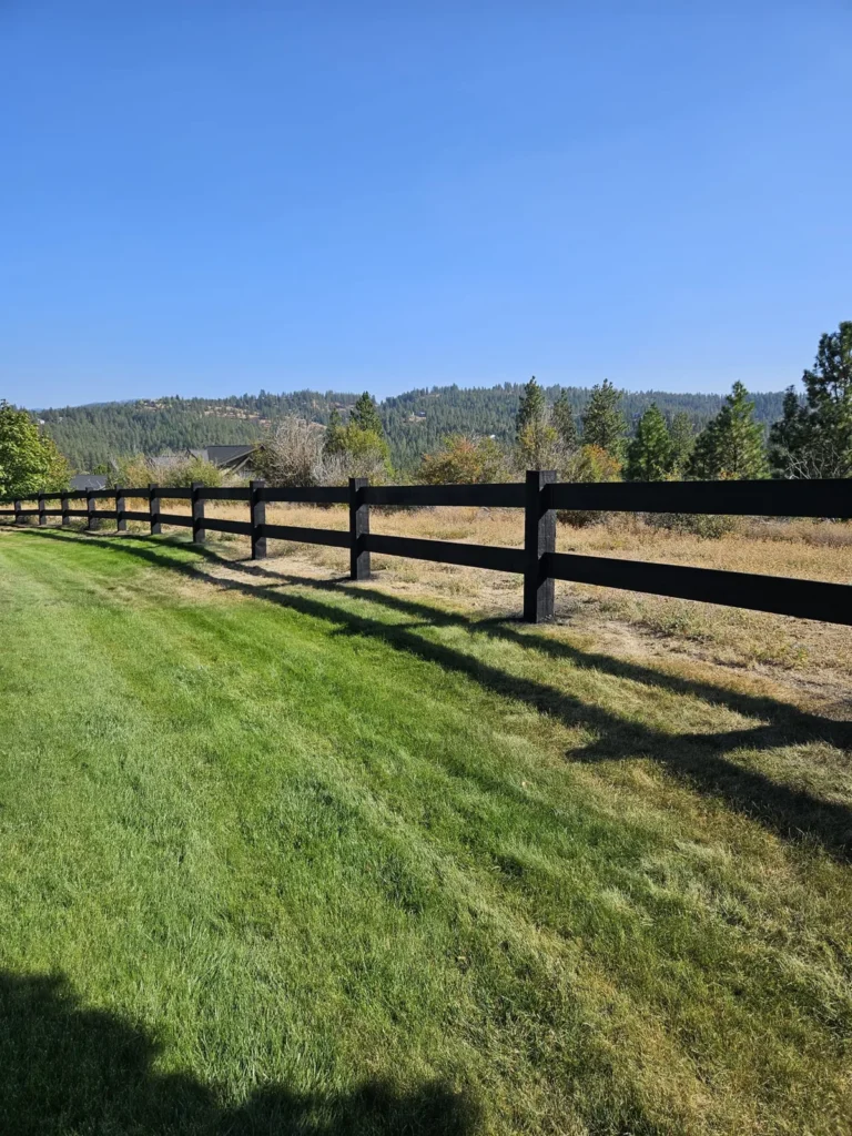 Black ranch rail boundary