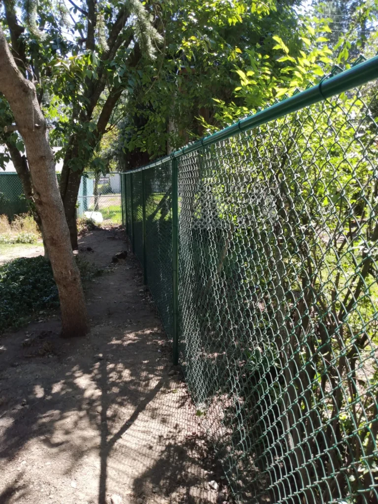 Green chain link & garden gate — 3